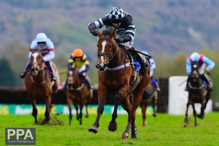 Point to point racing at Cothelstone