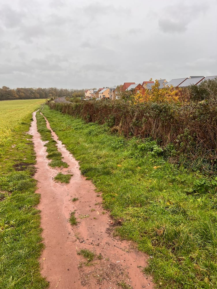 The proposed Wellington to Taunton Grand Western Greenway will run alongside the railway line next to the Longforth Farm estate.