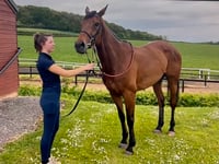 Somespring Special is first winner for White & Hobbs