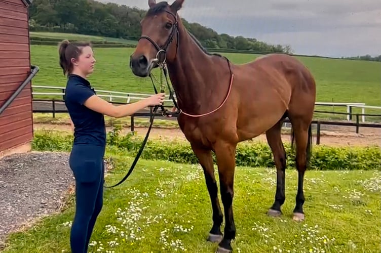 Newton Abbot winner Somespring Special with Eve Davidson.