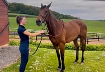 Somespring Special is first winner for White & Hobbs