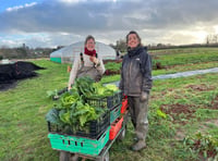 New crop share members needed for Wellington Community Farm