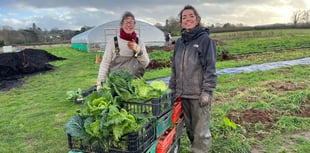 New crop share members needed for Wellington Community Farm