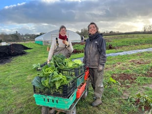 New crop share members needed for Wellington Community Farm