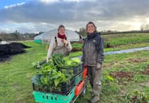 New crop share members needed for Wellington Community Farm