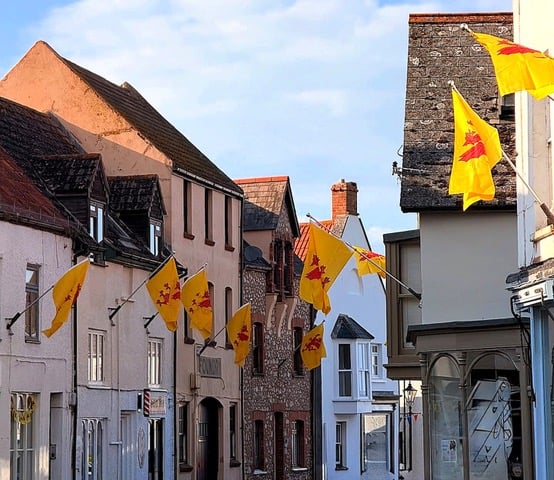 Somerset Dragon flags fly high in Swain Street, Watchet in celebration.