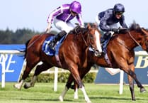 Veteran jockey Ed comes out of retirement to win