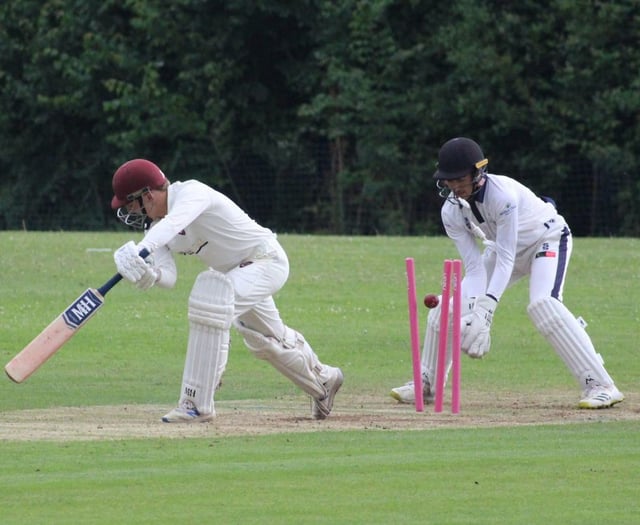 Crowcombe and Sampford Arundel clash in WS League 