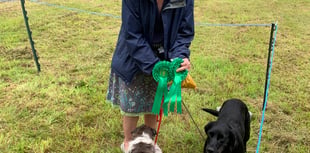 Dogs to be on their best behaviour for village show