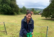 Dogs to be on their best behaviour for village fete and show