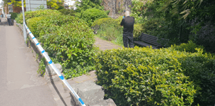 Police incident in centre of Wellington