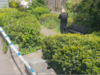 Police incident in centre of Wellington