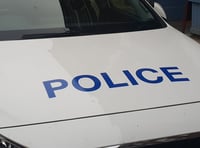 Police hunt rapist after early hours attack