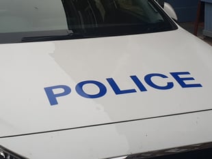Police hunt rapist after early hours attack