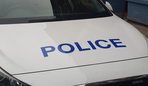 Police hunt rapist after early hours attack
