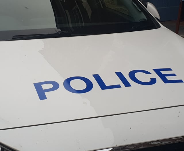 Police hunt rapist after early hours attack