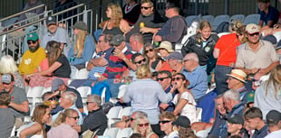 Wellington face two crucial cricket matches