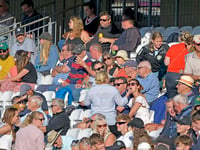 Wellington face two crucial cricket matches