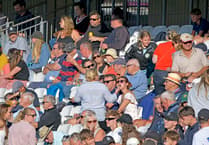 Wellington face two crucial cricket matches