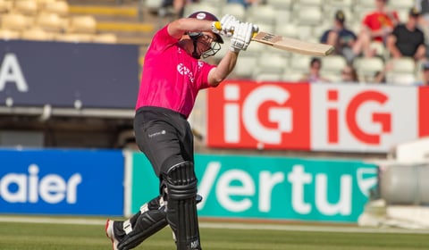 James Rew steers Somerset to another Vitality Blast victory