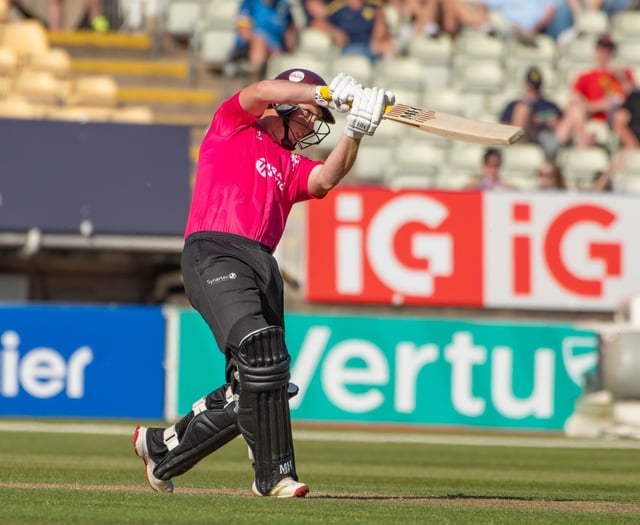 James Rew steers Somerset to another Vitality Blast victory