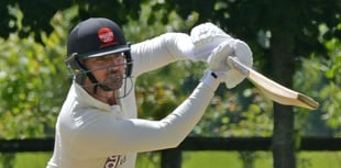 Stylish Wellington too strong for North Perrott in league clash