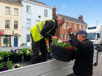 Summer feeling as colourful baskets go up in Wellington town centre