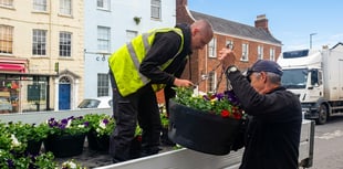 Summer feeling as colourful baskets go up in Wellington town centre