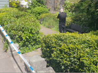 Wellington rape suspect released on police bail