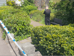 Wellington rape suspect released on police bail