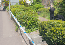 Rape investigation goes on in Wellington after arrested man is bailed by police