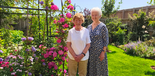 Discover Wivey's secret gardens at unique Somerset charity event