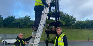 Lost Wellington planter brings colour to local roundabout