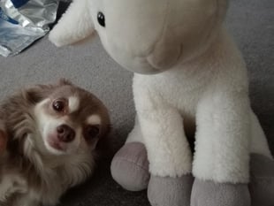 Community news in and around Wellington