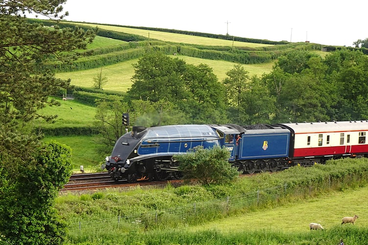 The LNER A4 Pacific 60007 Sir Nigel Gresley will be hosting a special weekend of excursion from July 3 to July 5.