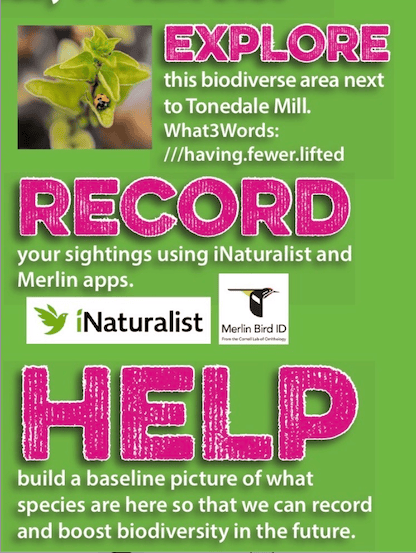 Become a 'citizen scientist' and help find as many different species as possible in Fox's Field, Wellington.