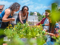 Creating green spaces for communities on the Grid