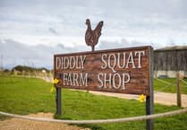 Garden centre near Wellington collaborates with Jeremy Clarkson's Diddly Squat Farm