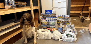EXCLUSIVE: Watch how dog found shop's £5k illegal tobacco