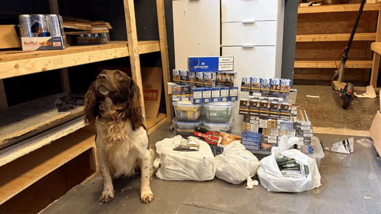 Tobacco detection dog Griff with illegal cigarettes and tobacco discovered in a Wellington shop.
