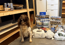 Wellington shop raid sees sniffer dog find underground stash of illegal tobacco