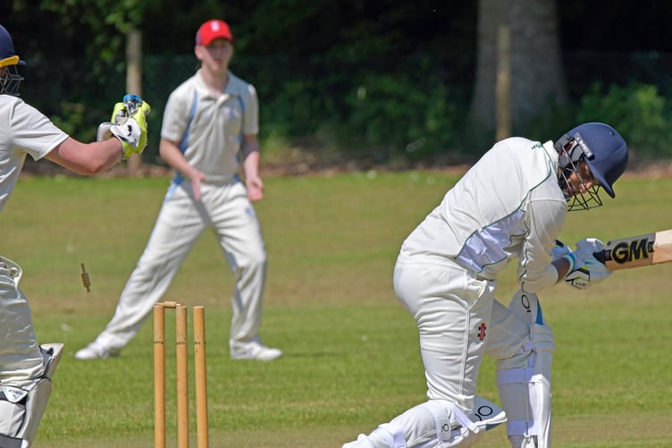 Wellington 3rd XI cricket action