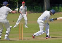 Wellington Thirds lose for the first time this season