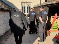 Man arrested over firearms and animal welfare concerns