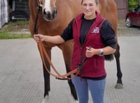 Gill's hunch pays off with whopping 33-1 winner 