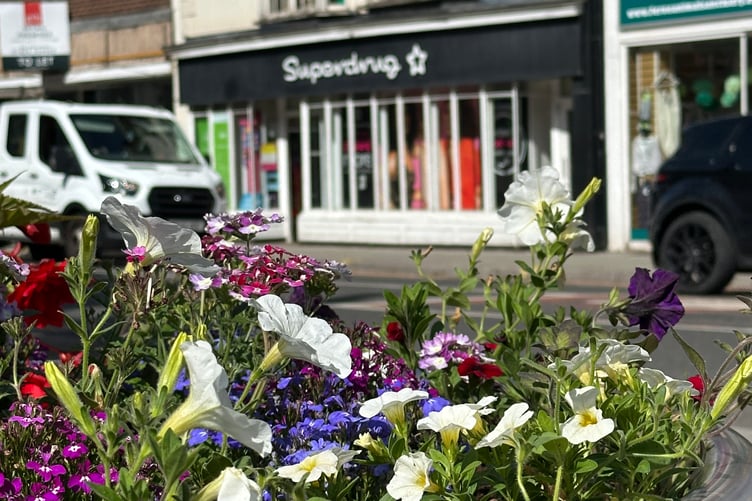 Open spaces manager Darren Hill will be joined by Cllr Janet Lloyd to judge all residential and business garden entered by June 26.
