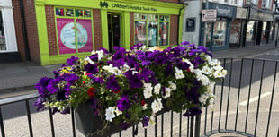 Wellington in Bloom competition returns after 15 years