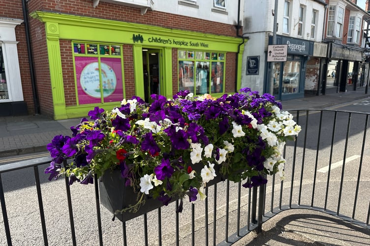 After a 15-year absence, the Wellington in Bloom gardening competition is back.