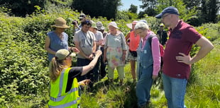 Weekend of wildlife exploration at Fox's Field