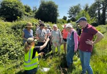 Weekend of wildlife exploration at Fox's Field
